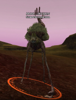 Moosrücken Moosrücken