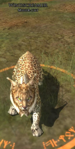 Windschreier Windschreier