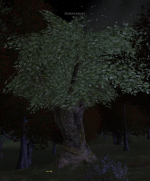 Dornenbart Dornenbart