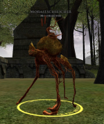 Morastschleicher Morastschleicher