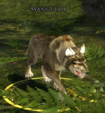 Räudeschwanz Räudeschwanz