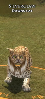 Silberklaue Silberklaue